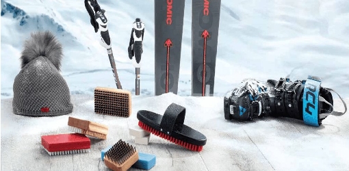 Skib&uuml;rsten